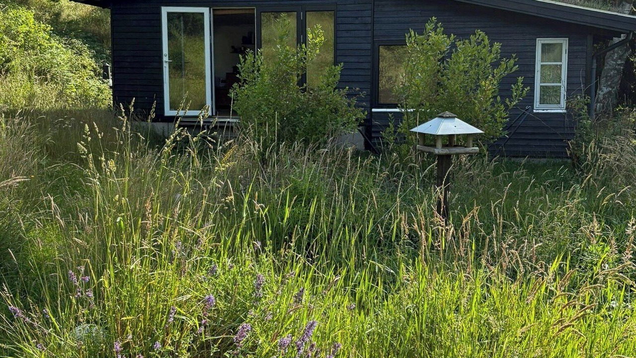 Photo of Outdoor in Rebild Municipality