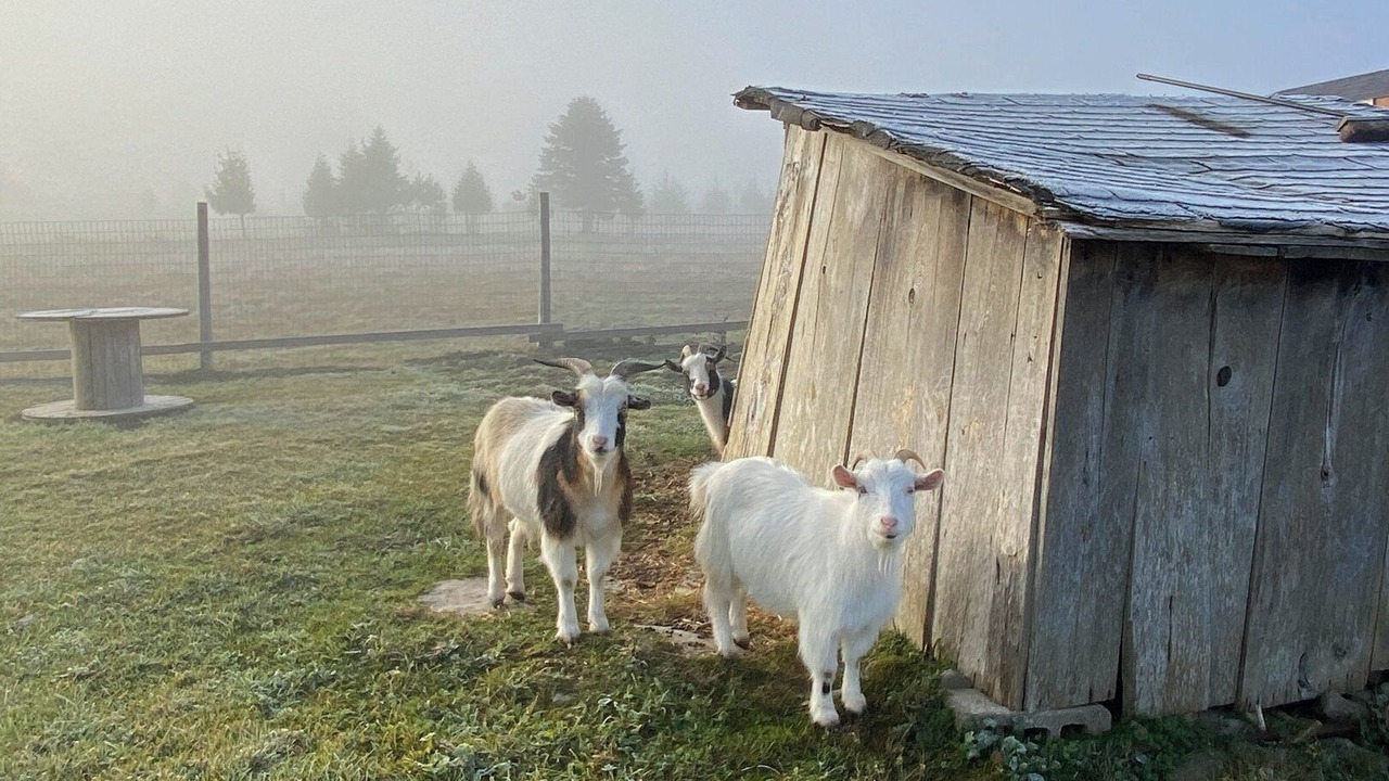 Photo of Others in Kirkfield