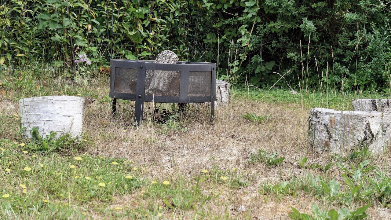 Photo of Outdoor in Holloselund