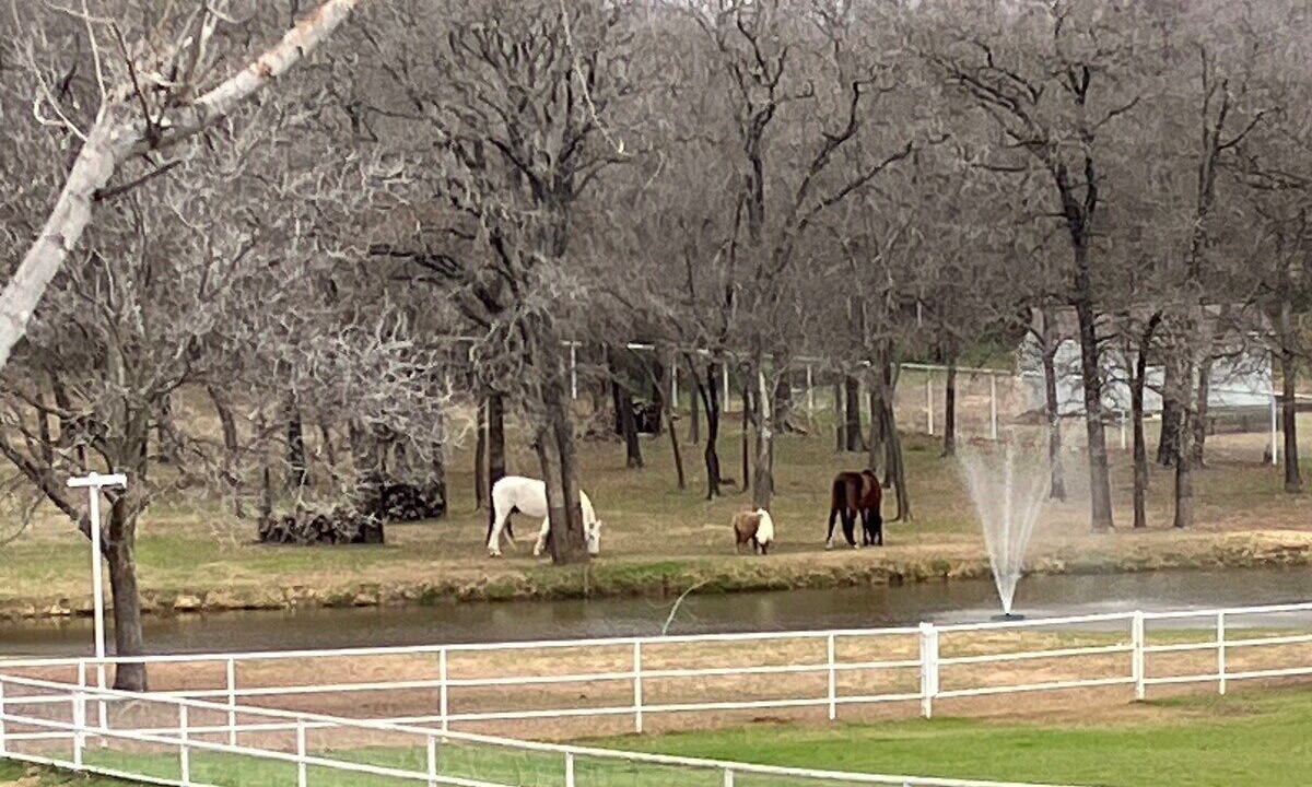 Photo of Others in Keller