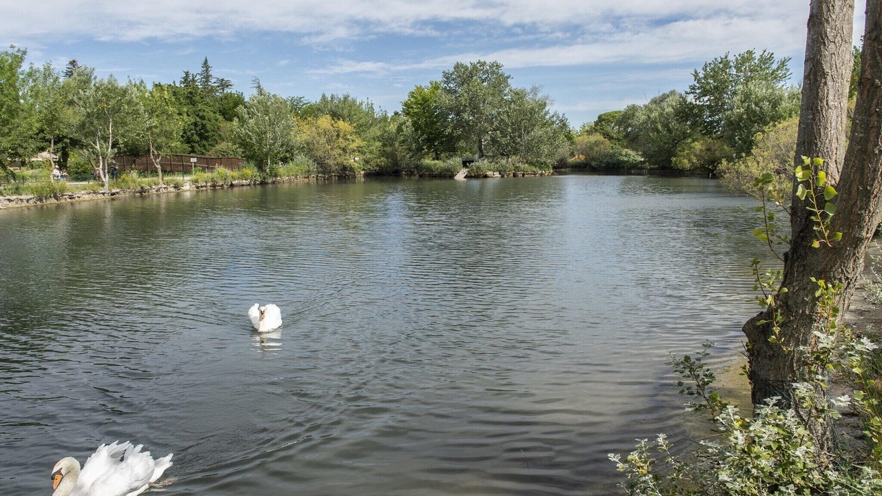 Photo of Others in Saint-Saturnin-les-Avignon