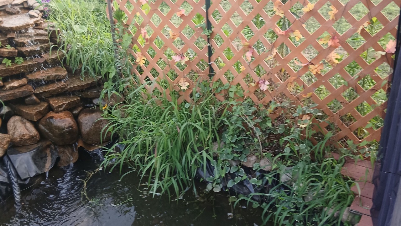 Photo of Outdoor in Niles