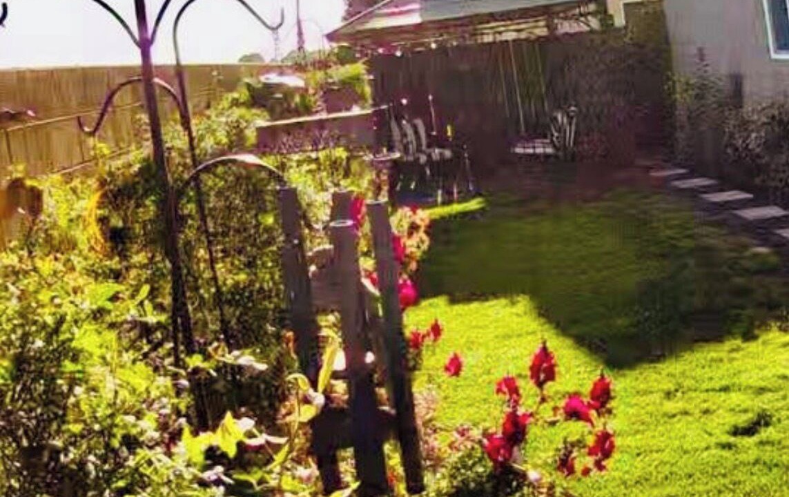 Photo of Outdoor in Tehachapi