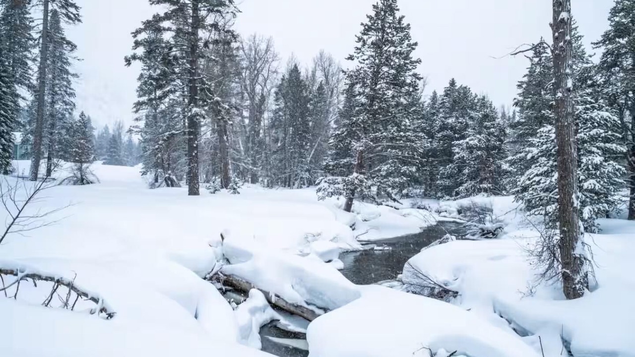 Photo of Others in Christmas Valley