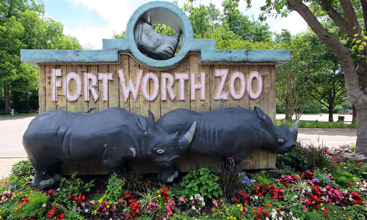 Photo of Others in Fort Worth
