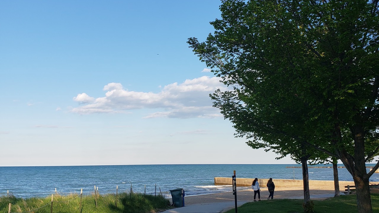 Photo of Others in Rogers Park