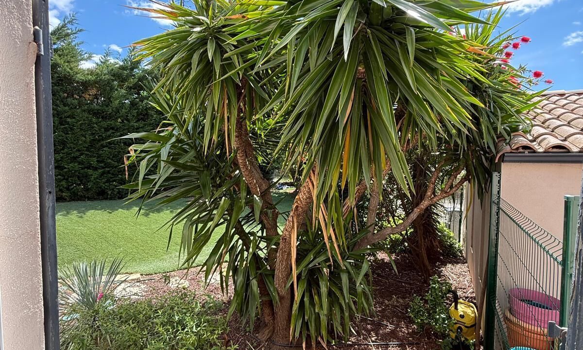 Photo of Outdoor in Clermont-l'Herault