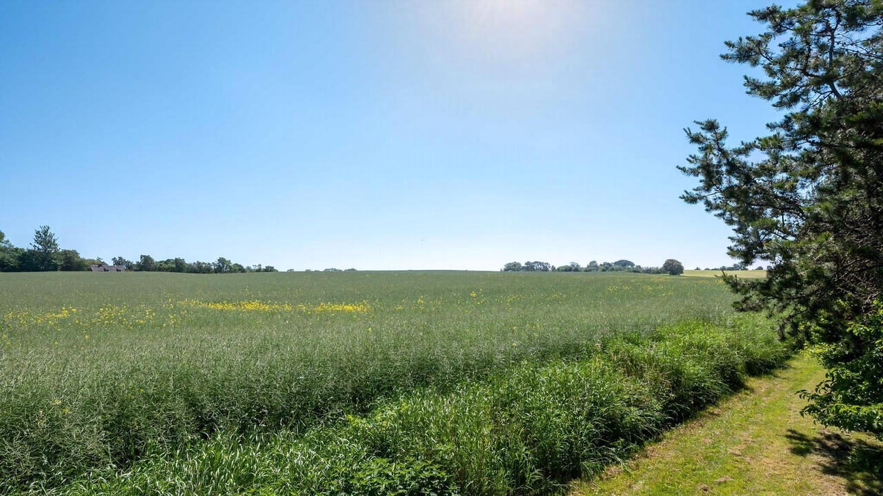 Photo of Others in Udsholt
