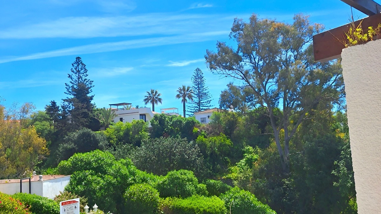 Photo of Outdoor in El Faro