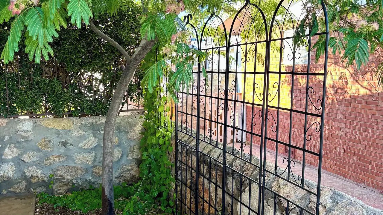 Photo of Outdoor in Biggs Field