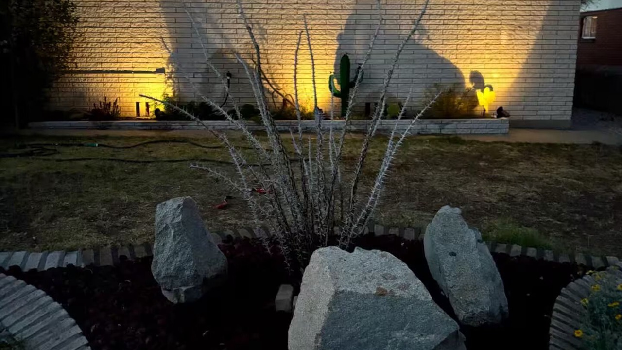 Photo of Outdoor in Biggs Field
