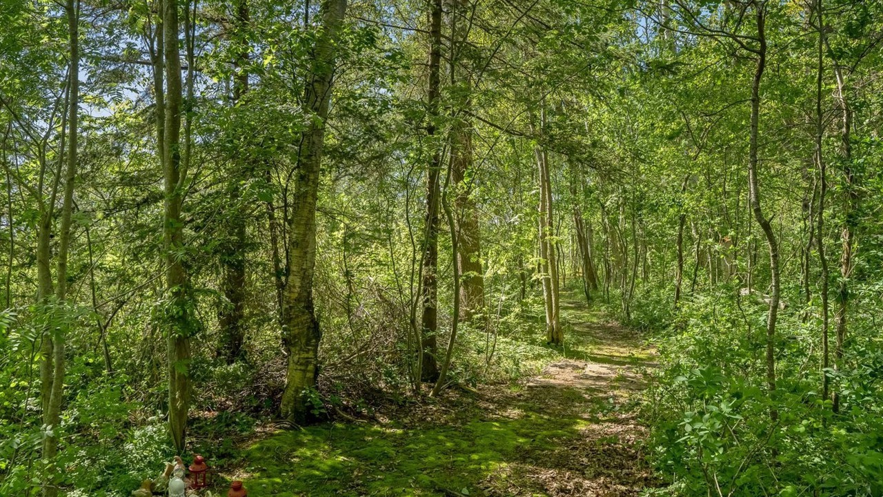 Photo of Outdoor in Læsø
