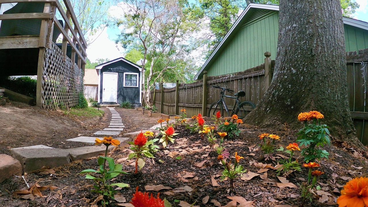 Photo of Outdoor in Tallahassee