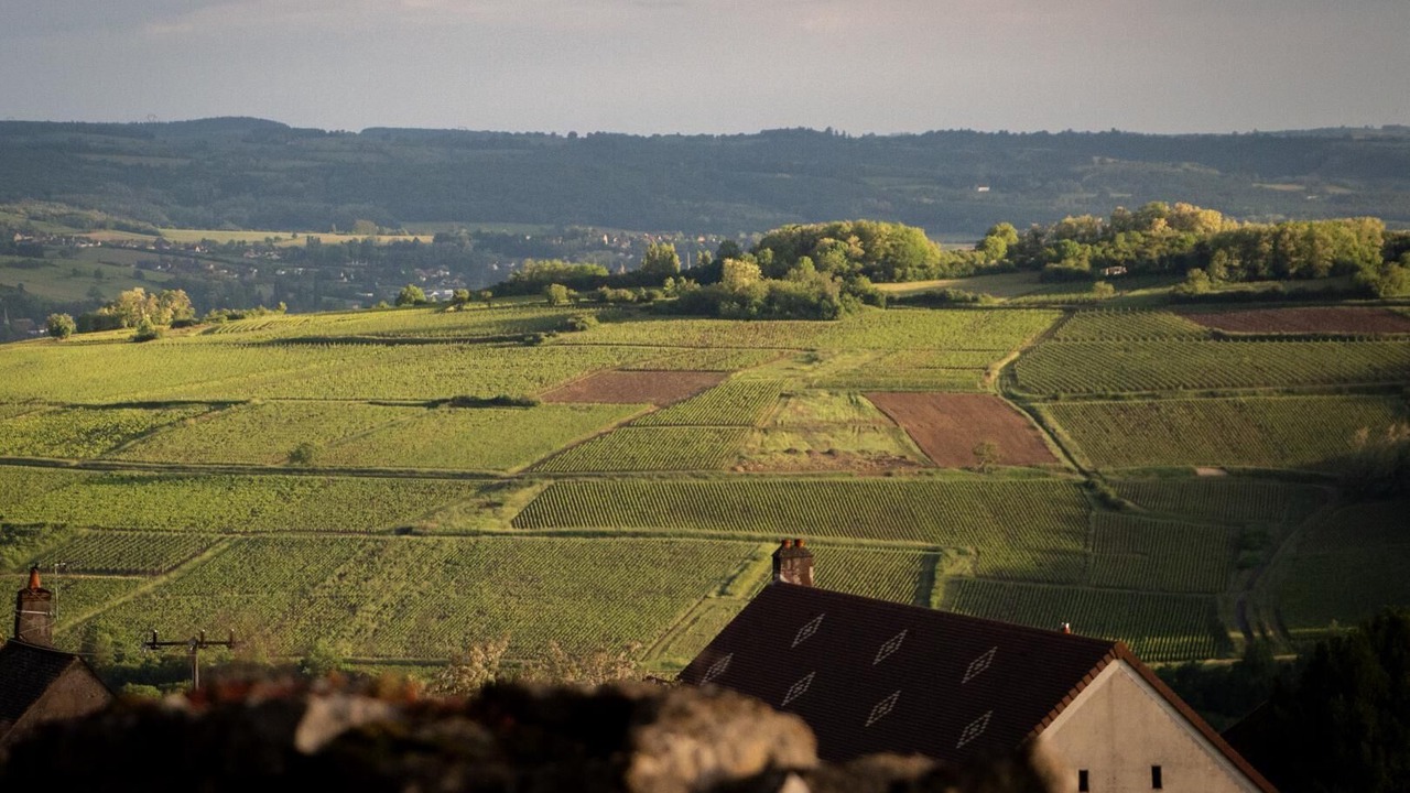 Photo of Others in Saint-Loup-Geanges