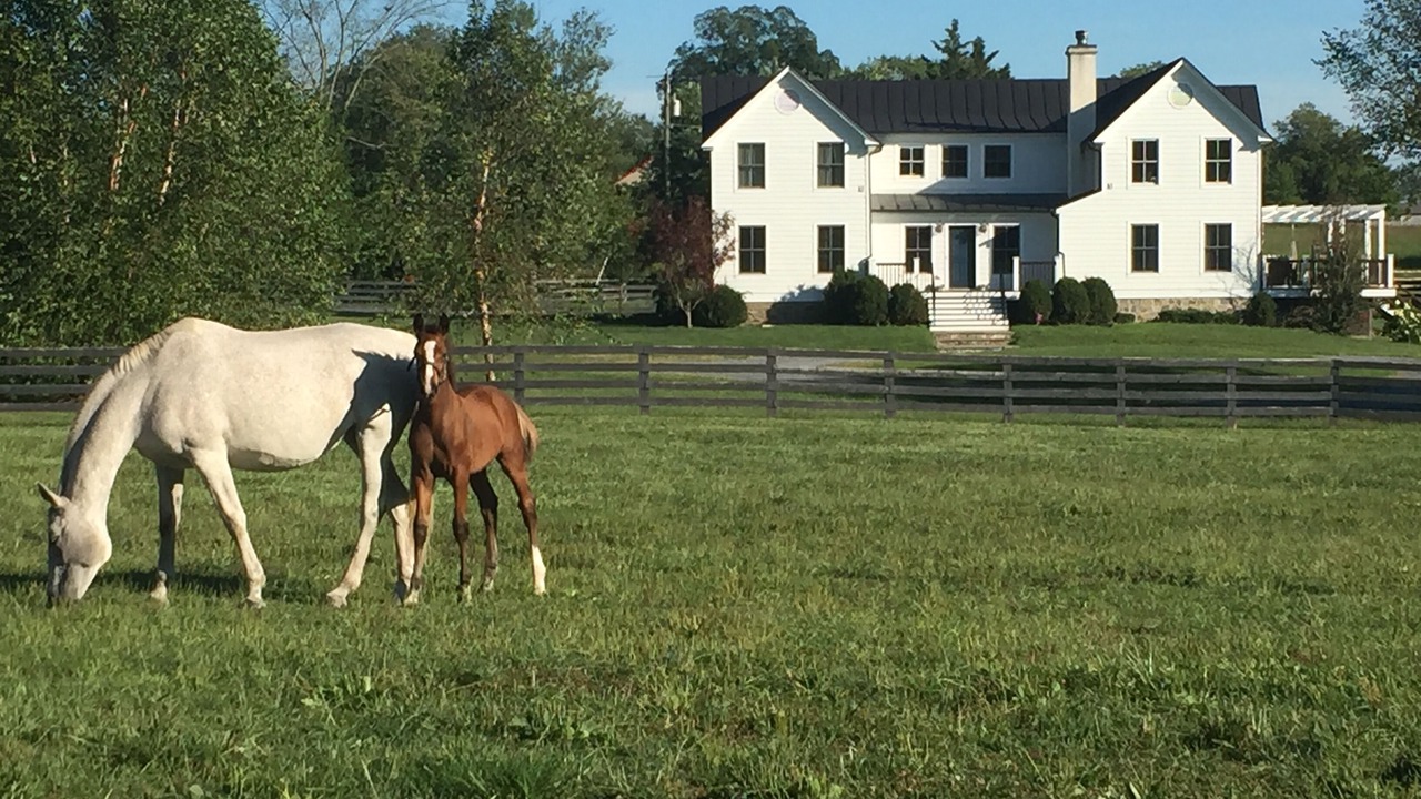 Photo of Outdoor in Middleburg