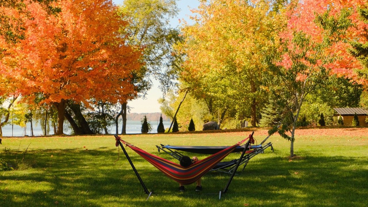 Photo of Outdoor in Greater Napanee
