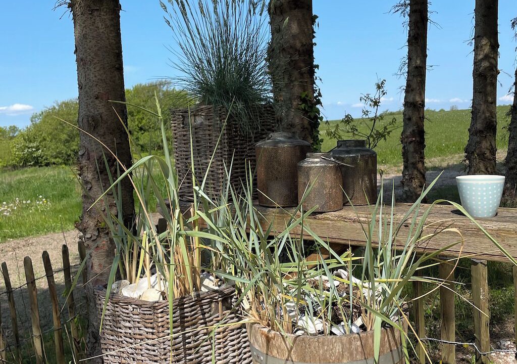 Photo of Outdoor in Thyholm
