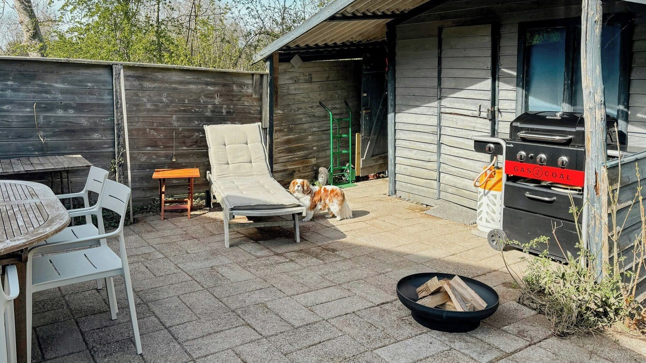 Photo of Outdoor in Bog By