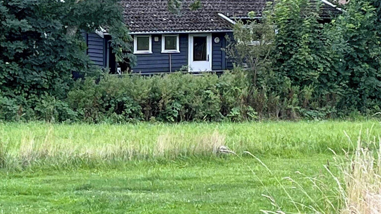 Photo of Outdoor in Bog By