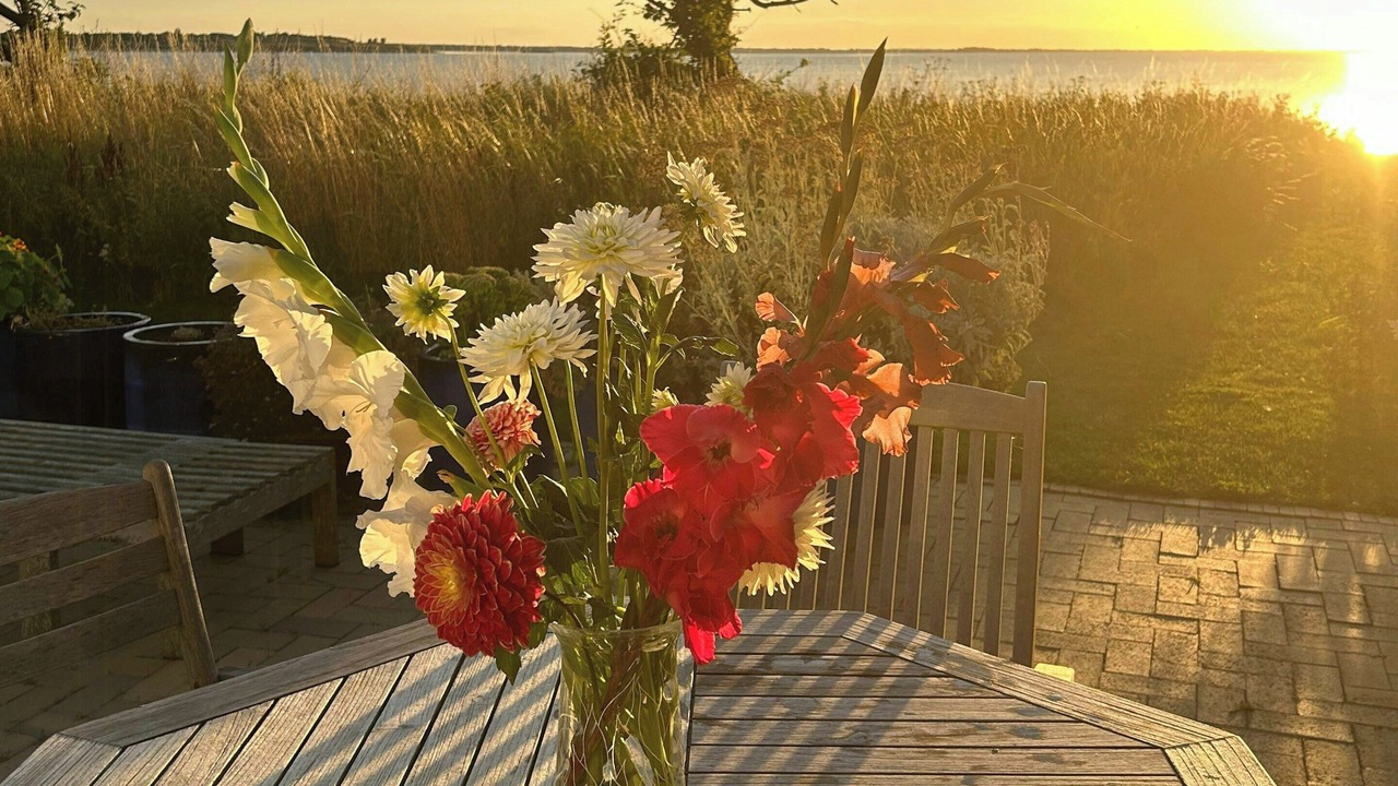 Photo of Outdoor in Martofte