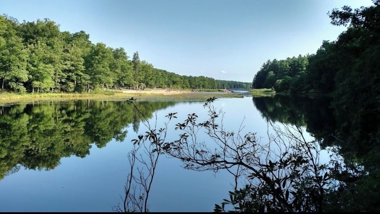 Photo of Others in Munson