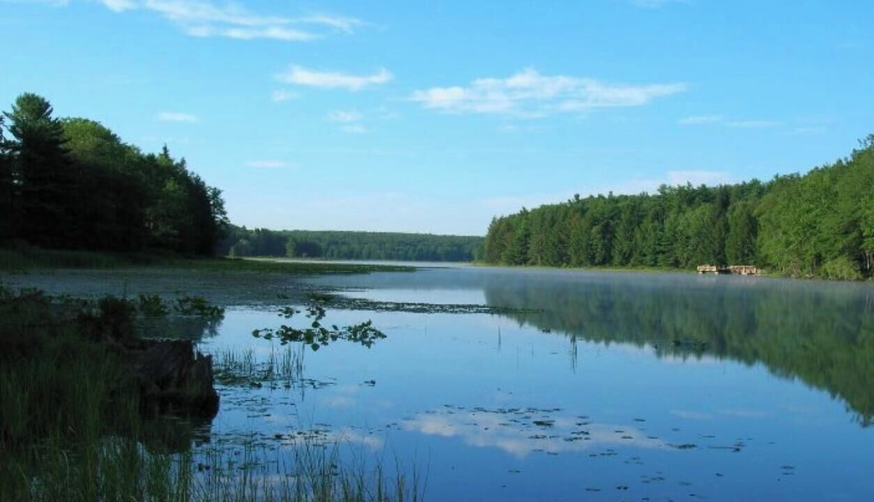 Photo of Others in Munson