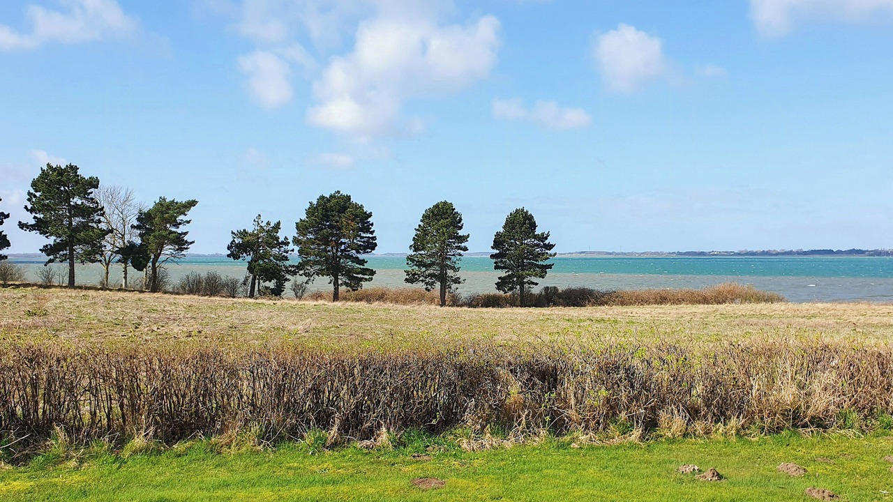 Photo of Others in Kongsnæs