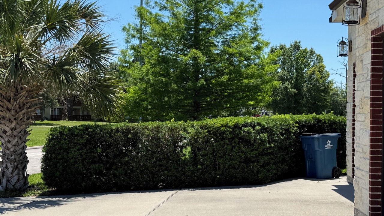 Photo of Outdoor in Atascocita