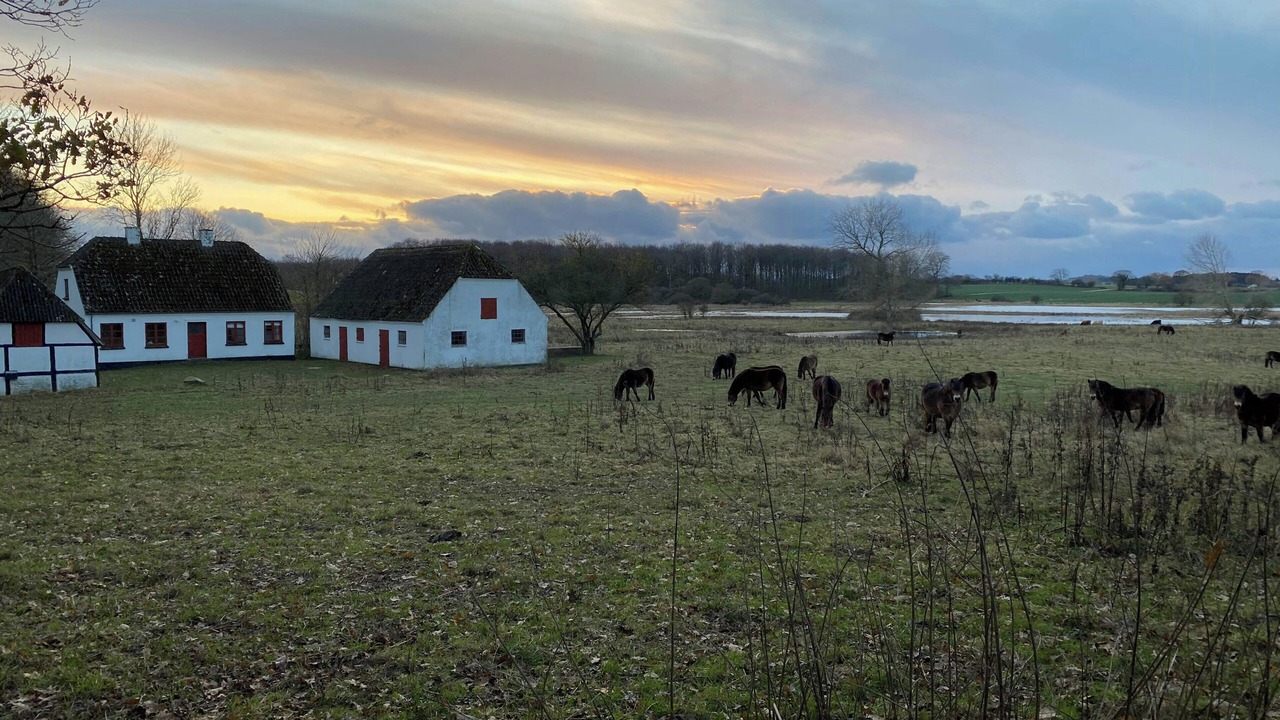 Photo of Others in Langeland Municipality