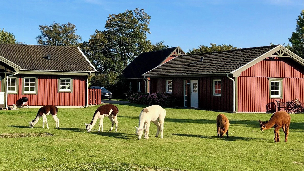 Photo of Outdoor in Hesselager