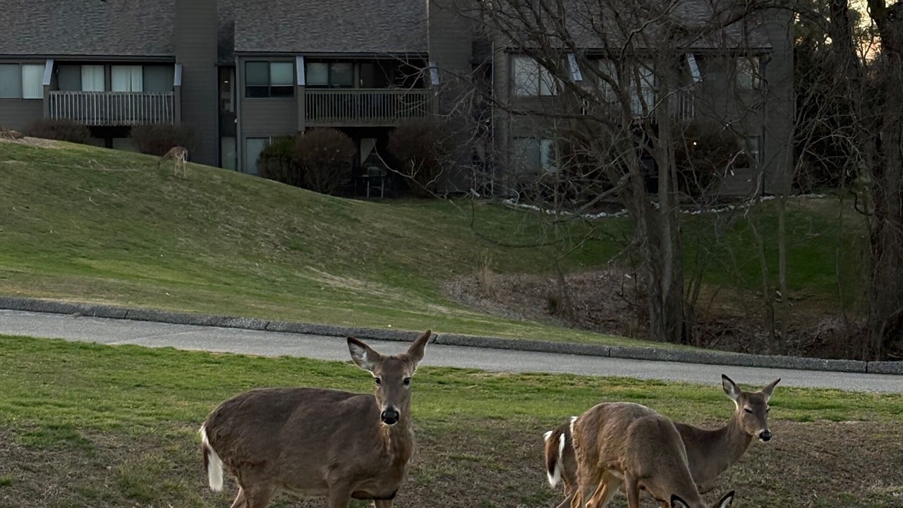 Photo of Outdoor in Avoca