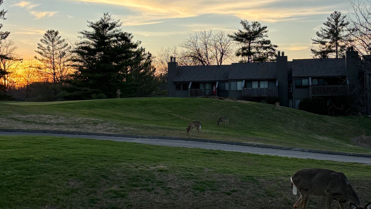 Photo of Outdoor in Avoca
