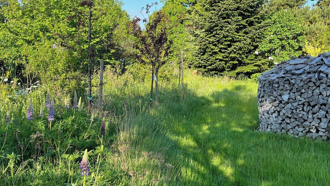 Photo of Outdoor in Hundested
