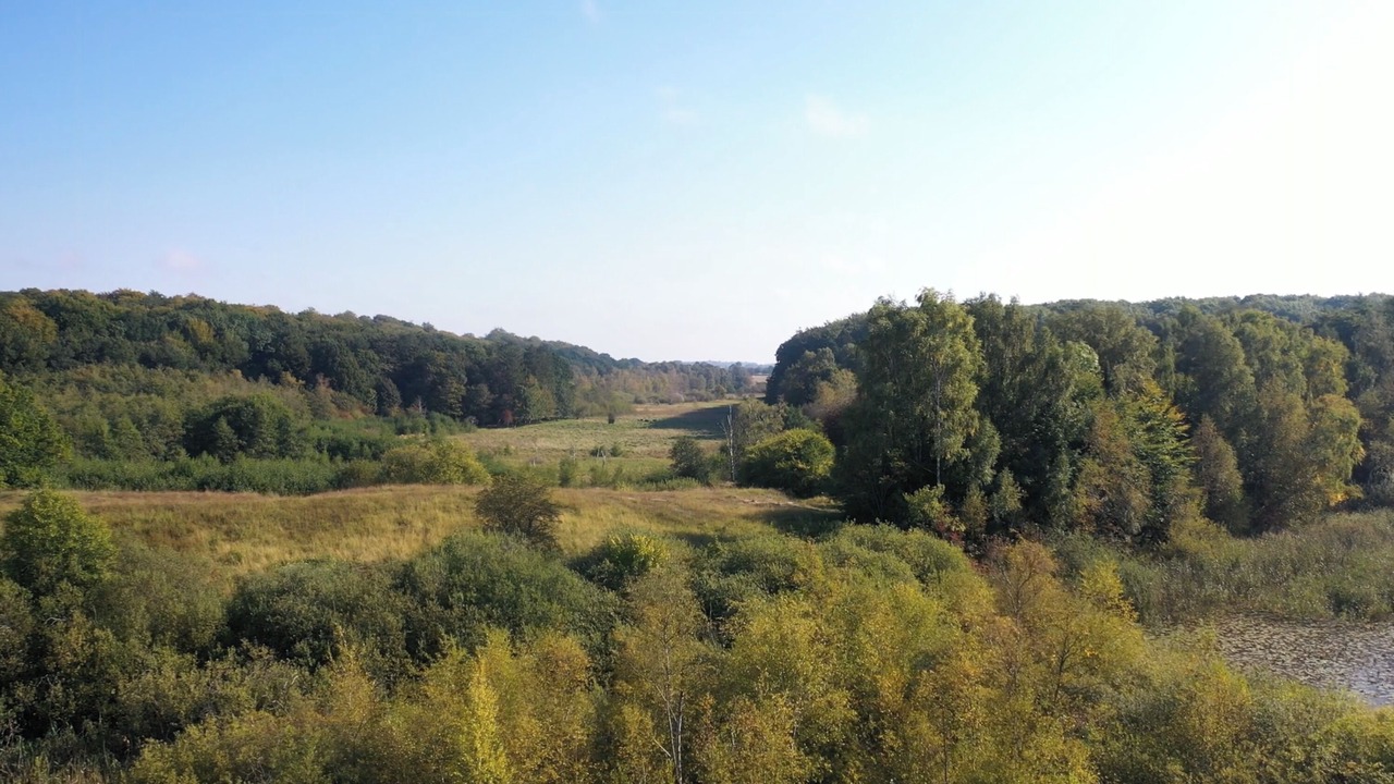 Photo of Others in Buresø