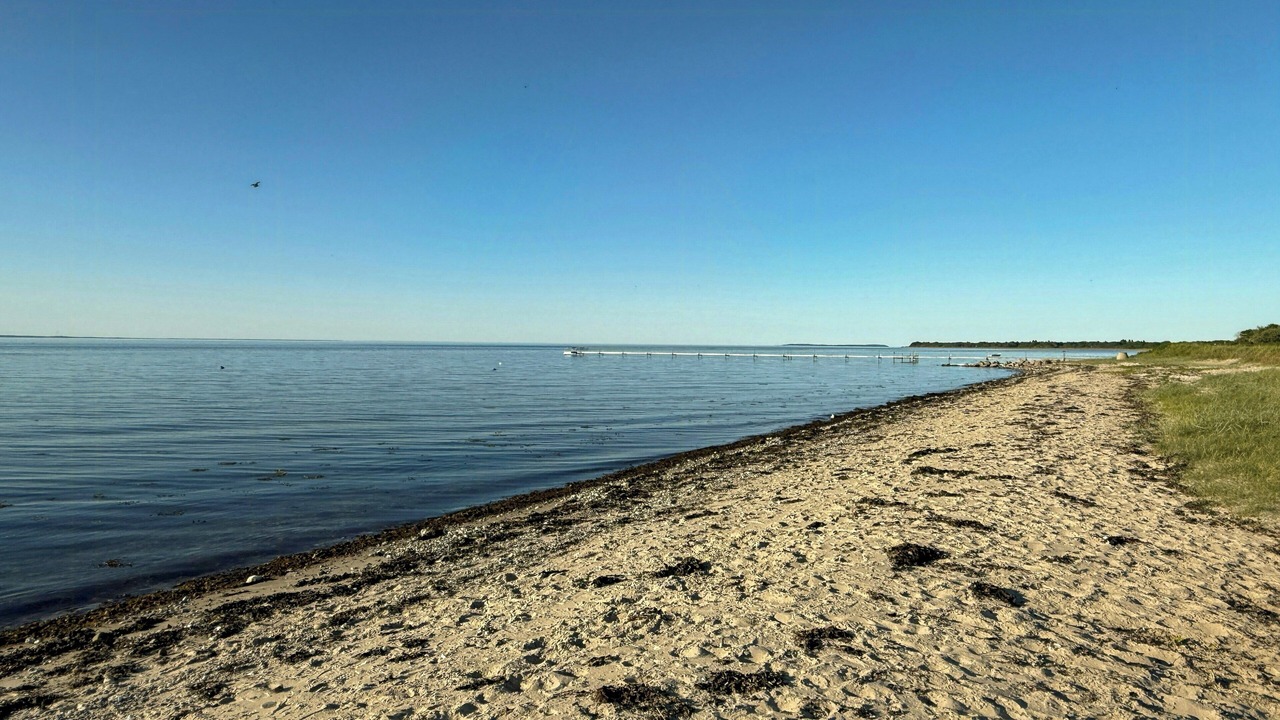 Photo of Others in Skastrup Strand