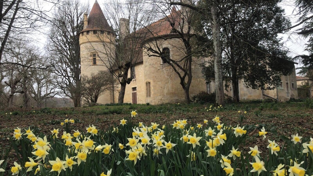 Photo of Outdoor in Layrac