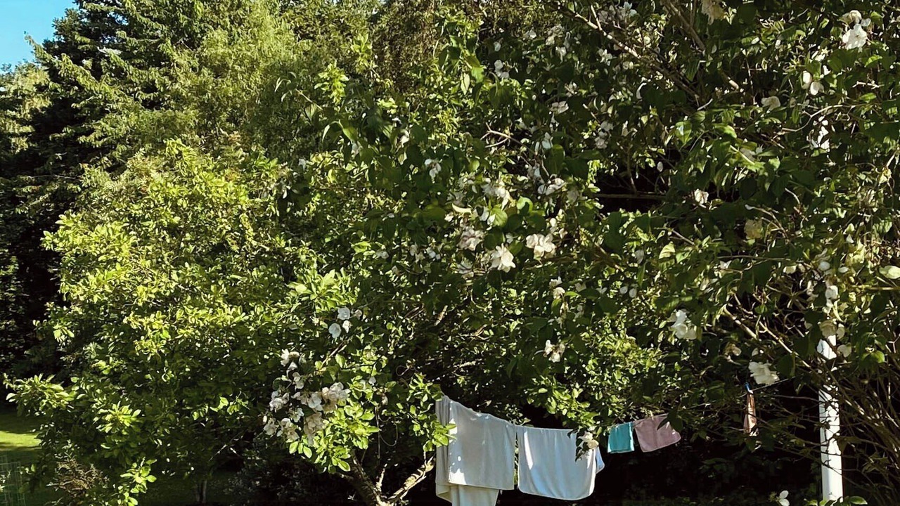 Photo of Outdoor in Atterup