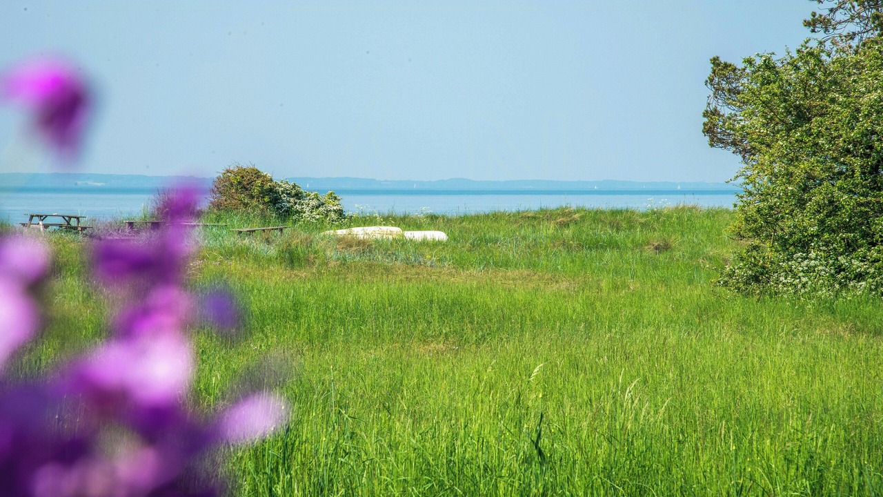Photo of Others in Kegnæshøj