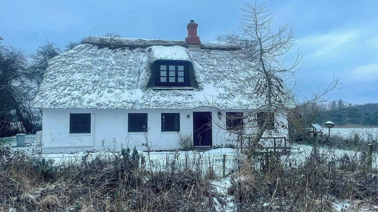 Photo of Outdoor in Østerskov