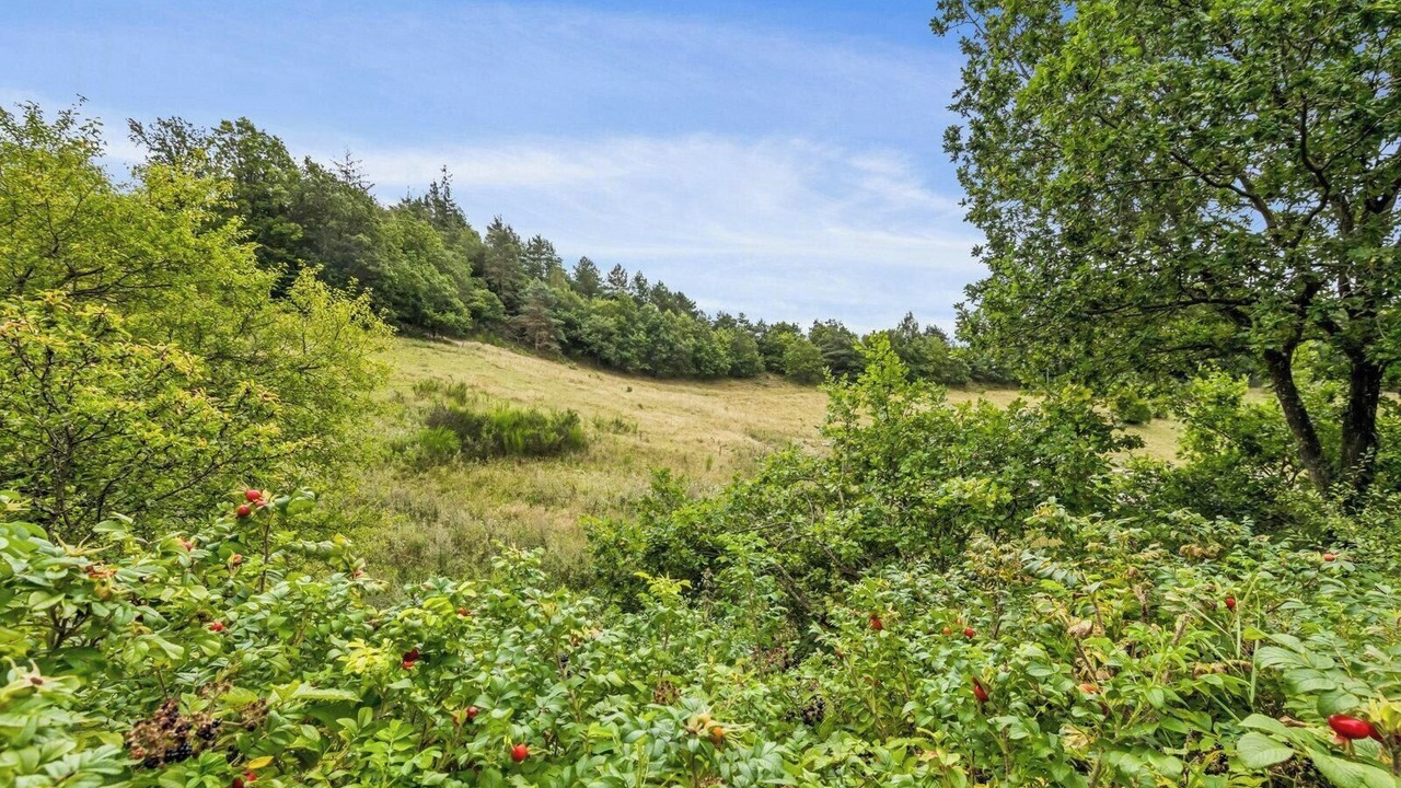 Photo of Others in Femmøller