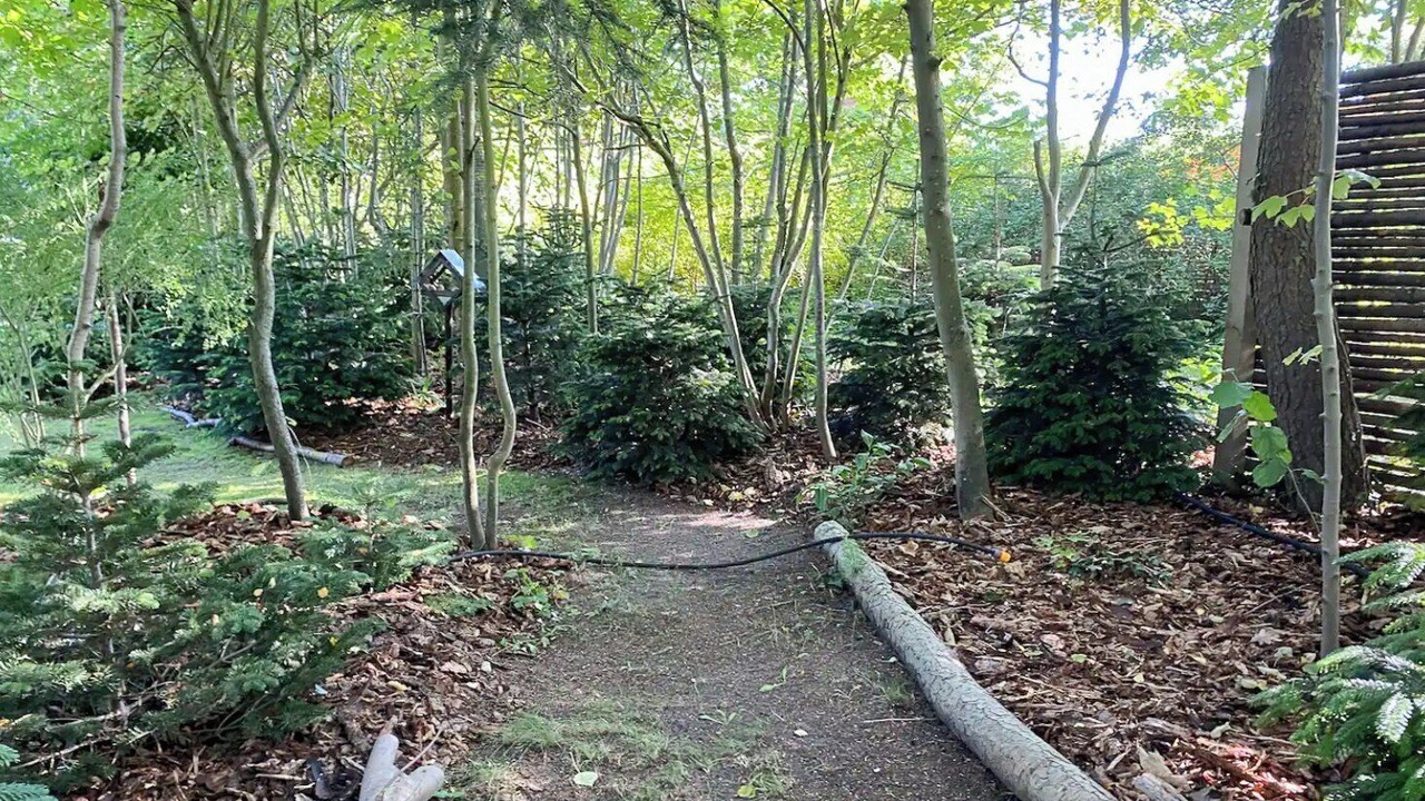 Photo of Outdoor in Lystrup