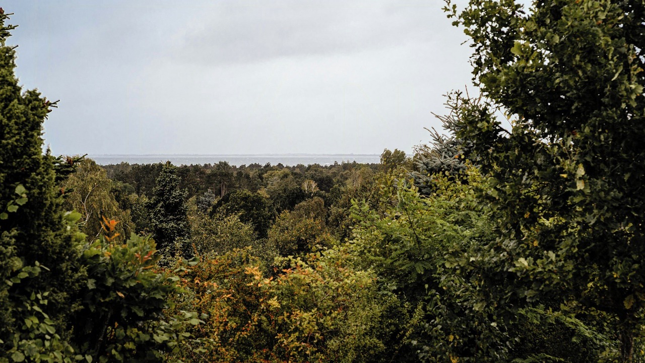 Photo of Others in Hoeve Strand