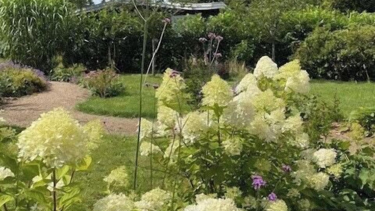 Photo of Outdoor in Hornbaek