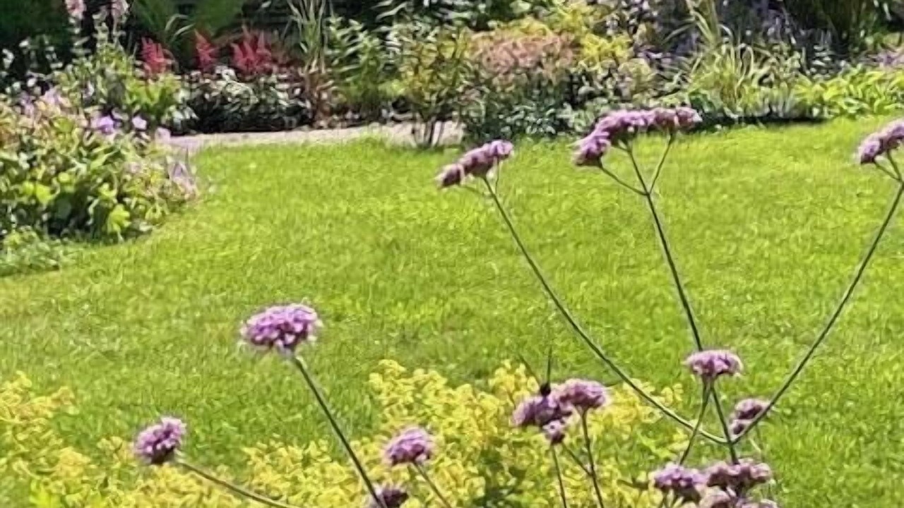 Photo of Outdoor in Hornbaek