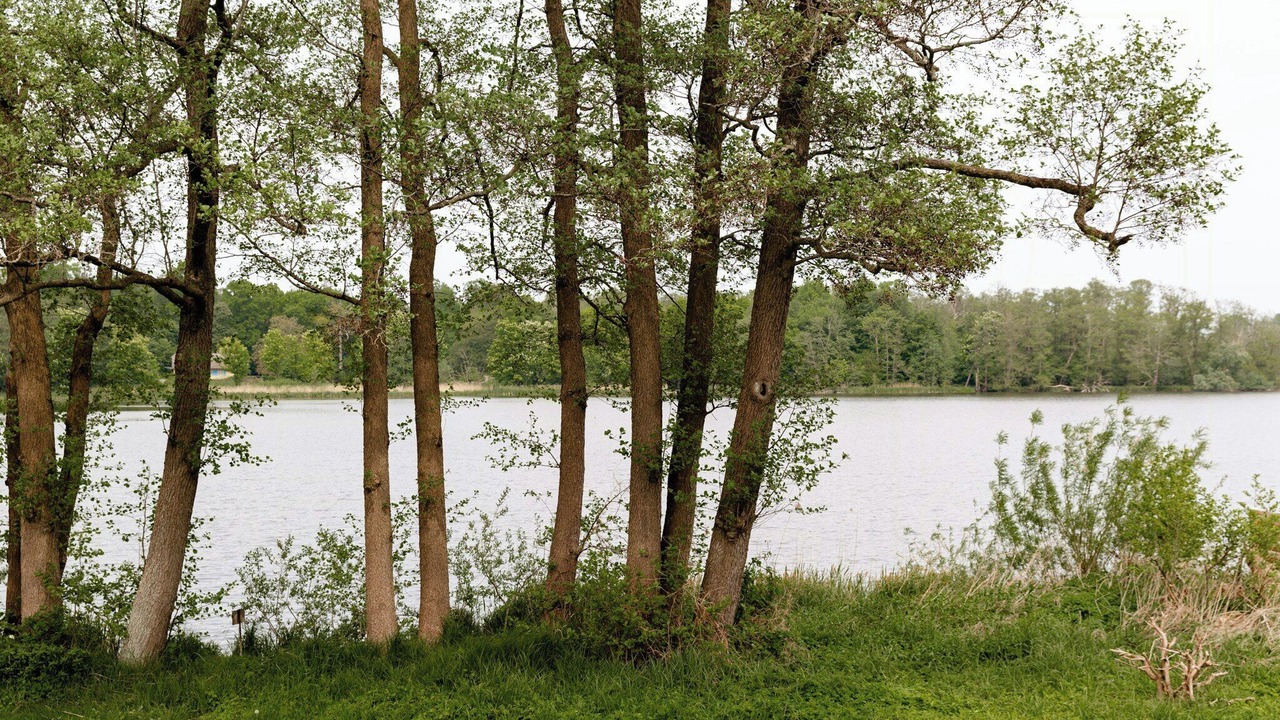Photo of Others in Grasten