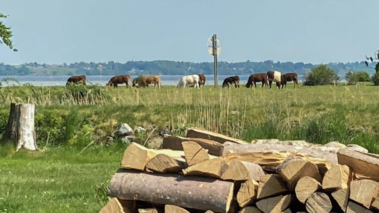 Photo of Others in Jægerspris