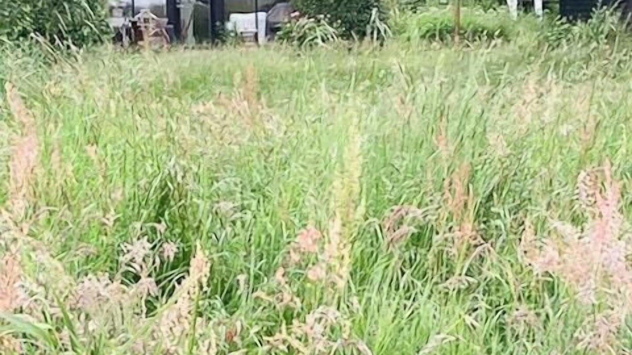 Photo of Outdoor in Jægerspris