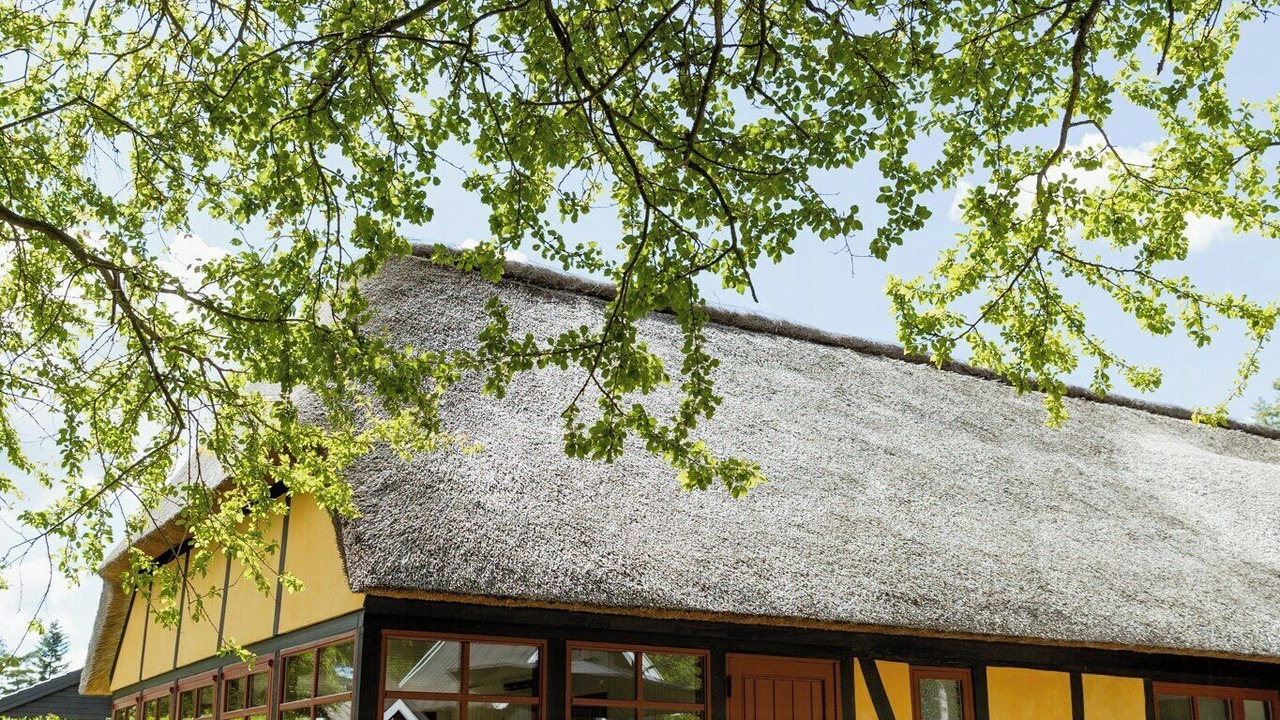 Photo of Outdoor in Hals