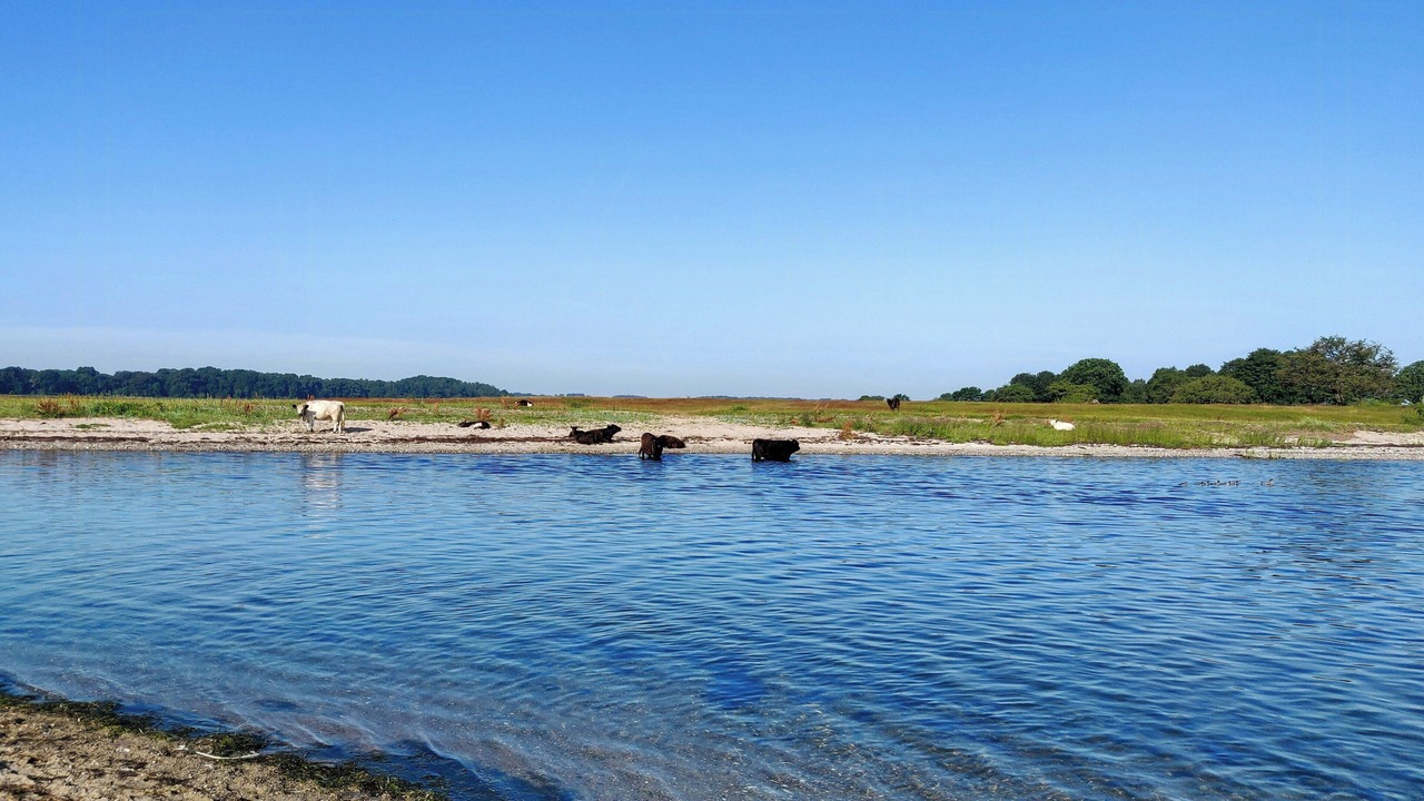 Photo of Others in Togeholt