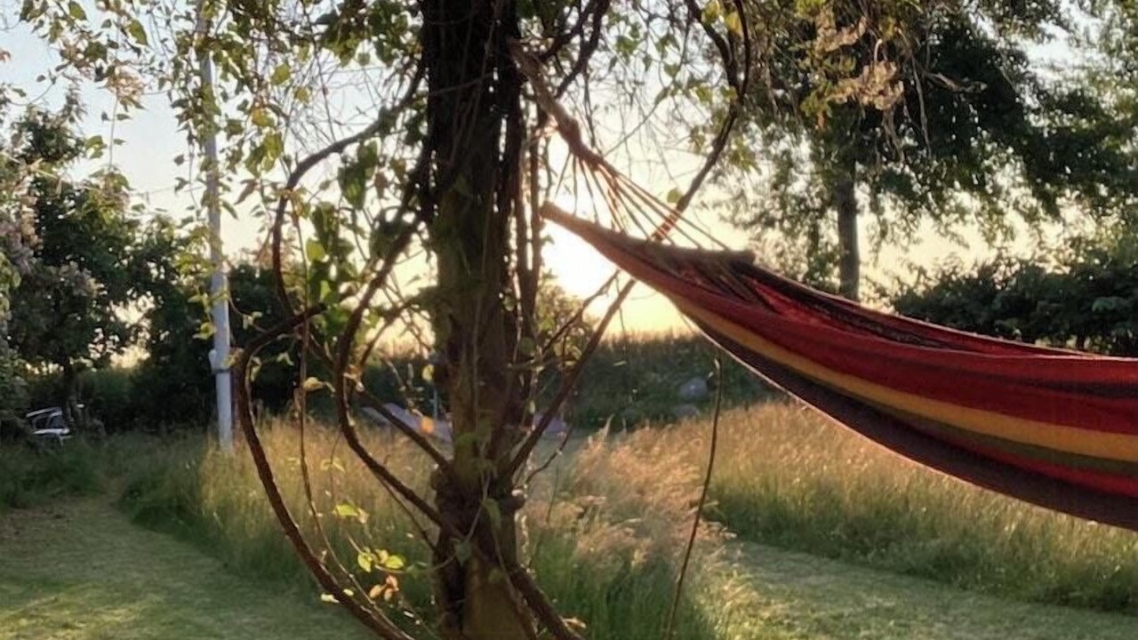 Photo of Outdoor in Sejero